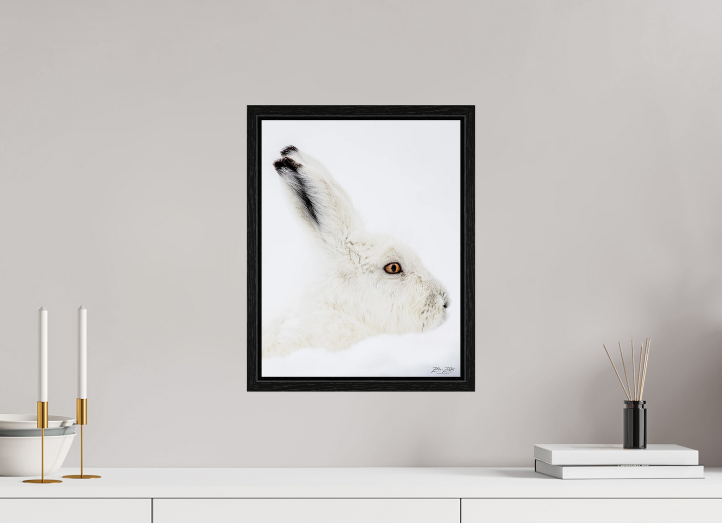 12 x 15.5″, Floater Frame Zillas zoom image 150