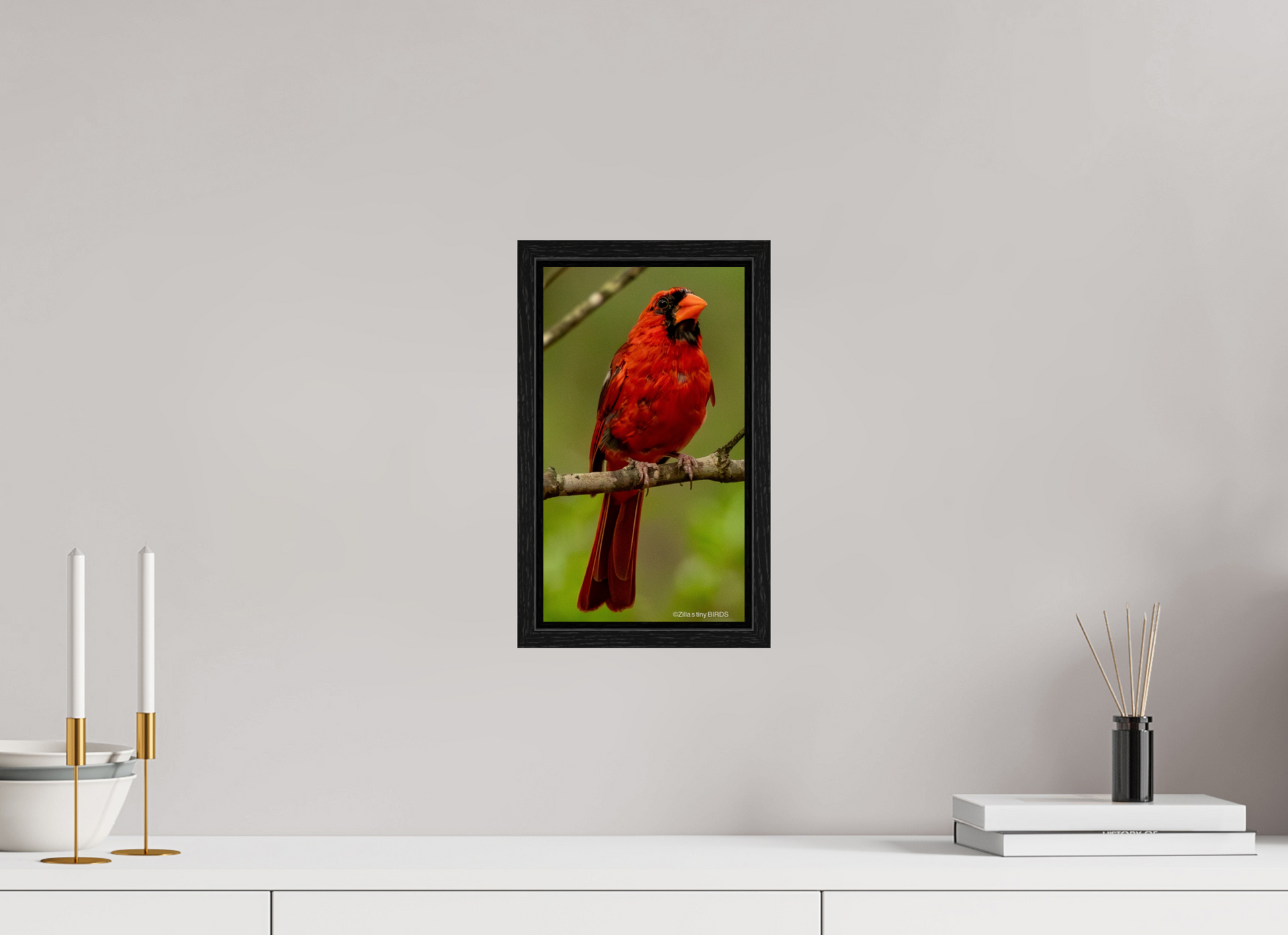 6.8 x 12″, Floater Frame Zillas Zoom Image 397