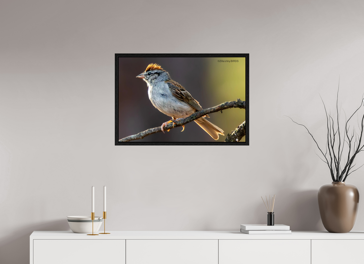 30 x 20″, Floater Frame Zillas Zoom Image 308