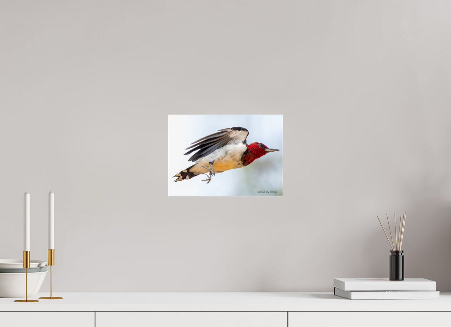11.2 x 8″, Photo Print Under Acrylic Glass Zillas Zoom Image 325