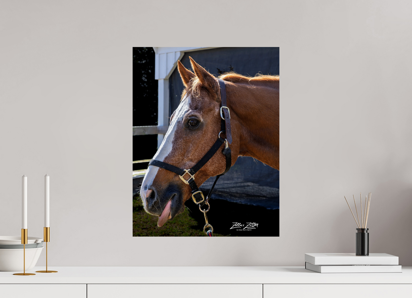 16 x 20.7″, Photo Print On Fuji Crystal DP II Zillas zoom image 157