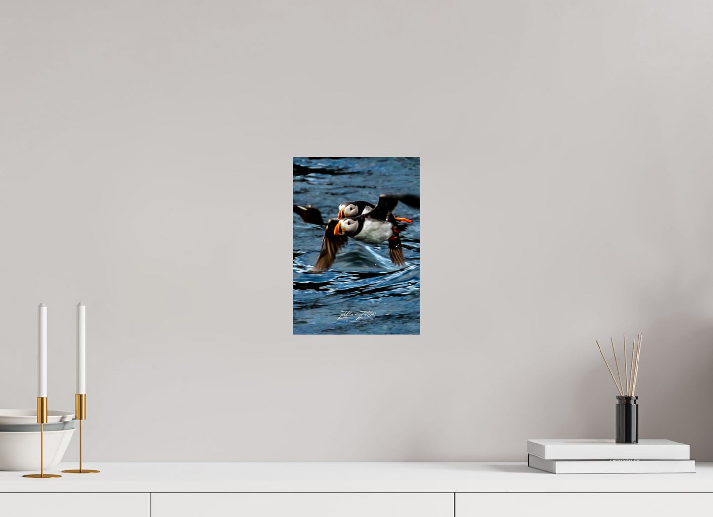 8 x 11.2″, Photo Print On Fuji Crystal DP II Zillas Zoom Image 451