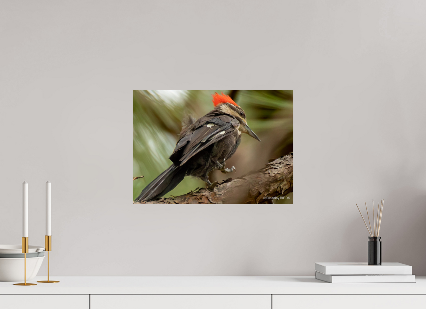 16.8 x 12″, Photo Print On Fuji Crystal DP II Zillas Zoom Image 333