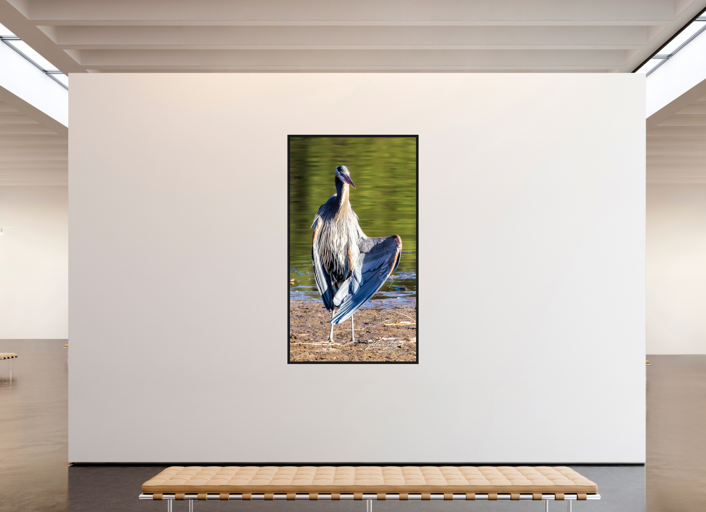 45 x 80″, Floater Frame Zillas Zoom Image 411