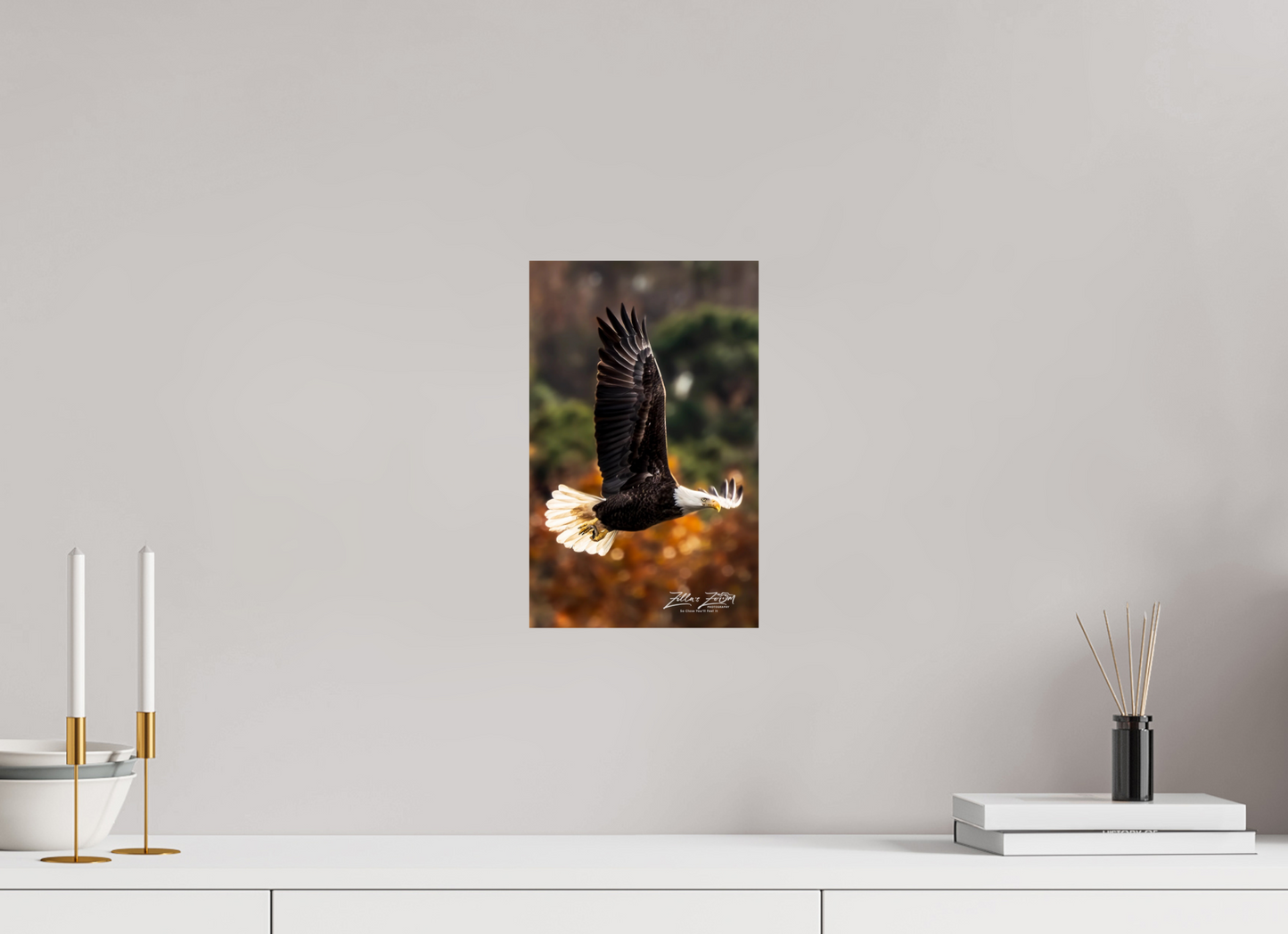 8 x 12.8″, Photo Print On Fuji Crystal DP II Zillas Zoom Image 415