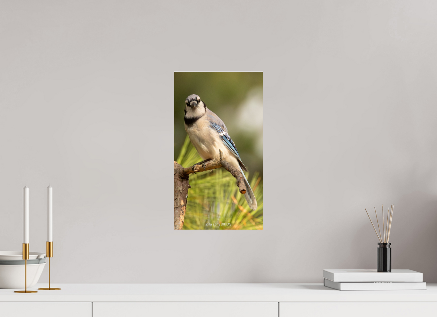 9 x 16″, Photo Print Under Acrylic Glass Zillas Zoom Image 494