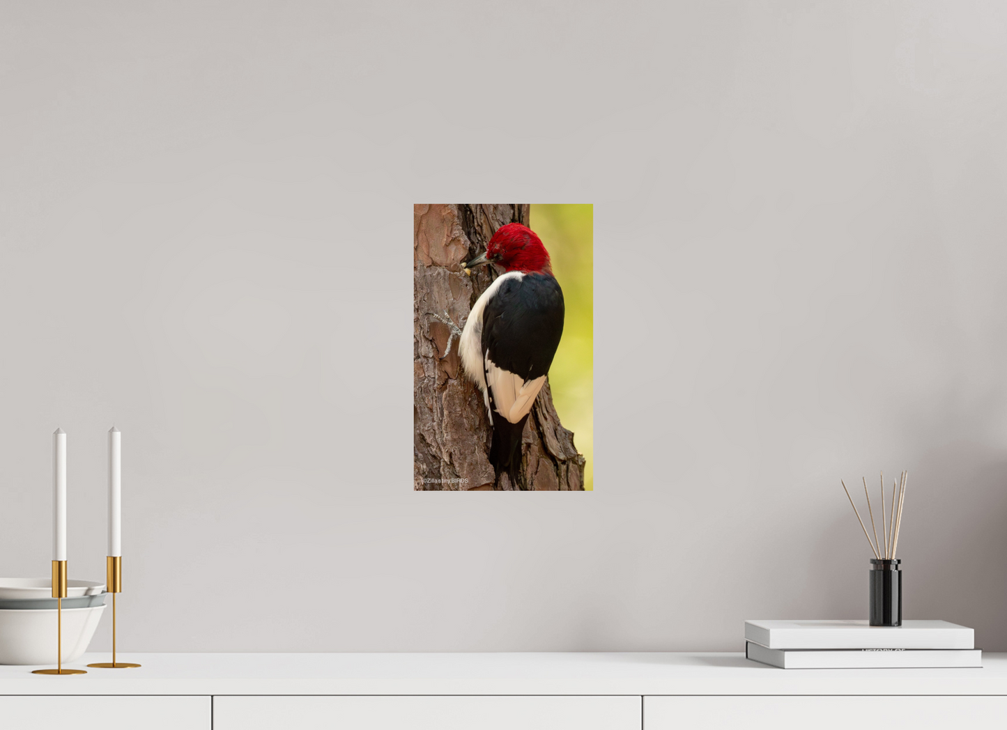 8 x 12.8″, Photo Print On Fuji Crystal DP II Zillas Zoom Image 461