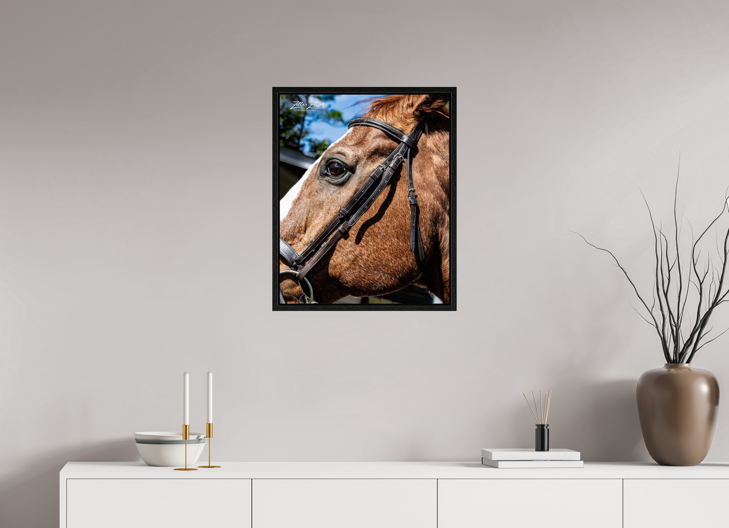 20 x 24.7″, Floater Frame Zillas zoom image 149