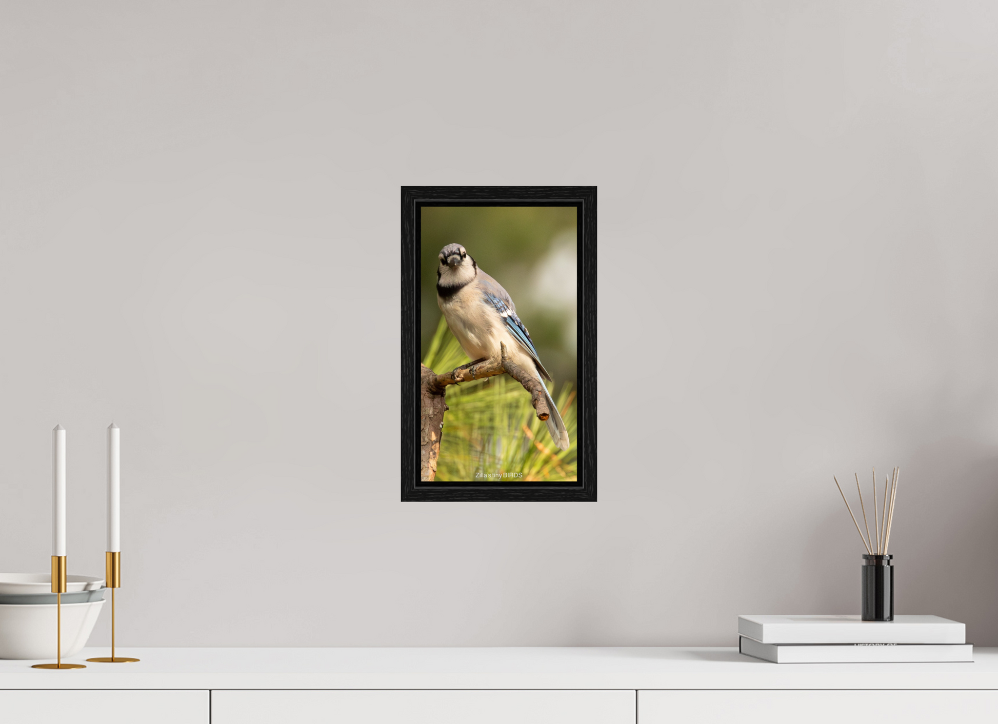 6.8 x 12″, Floater Frame Zillas Zoom Image 494