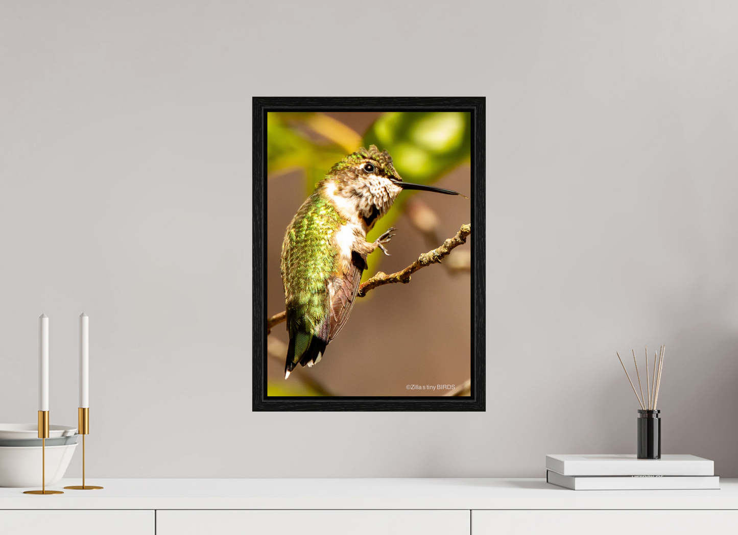12 x 16.8″, Floater Frame Zillas Zoom Image 471