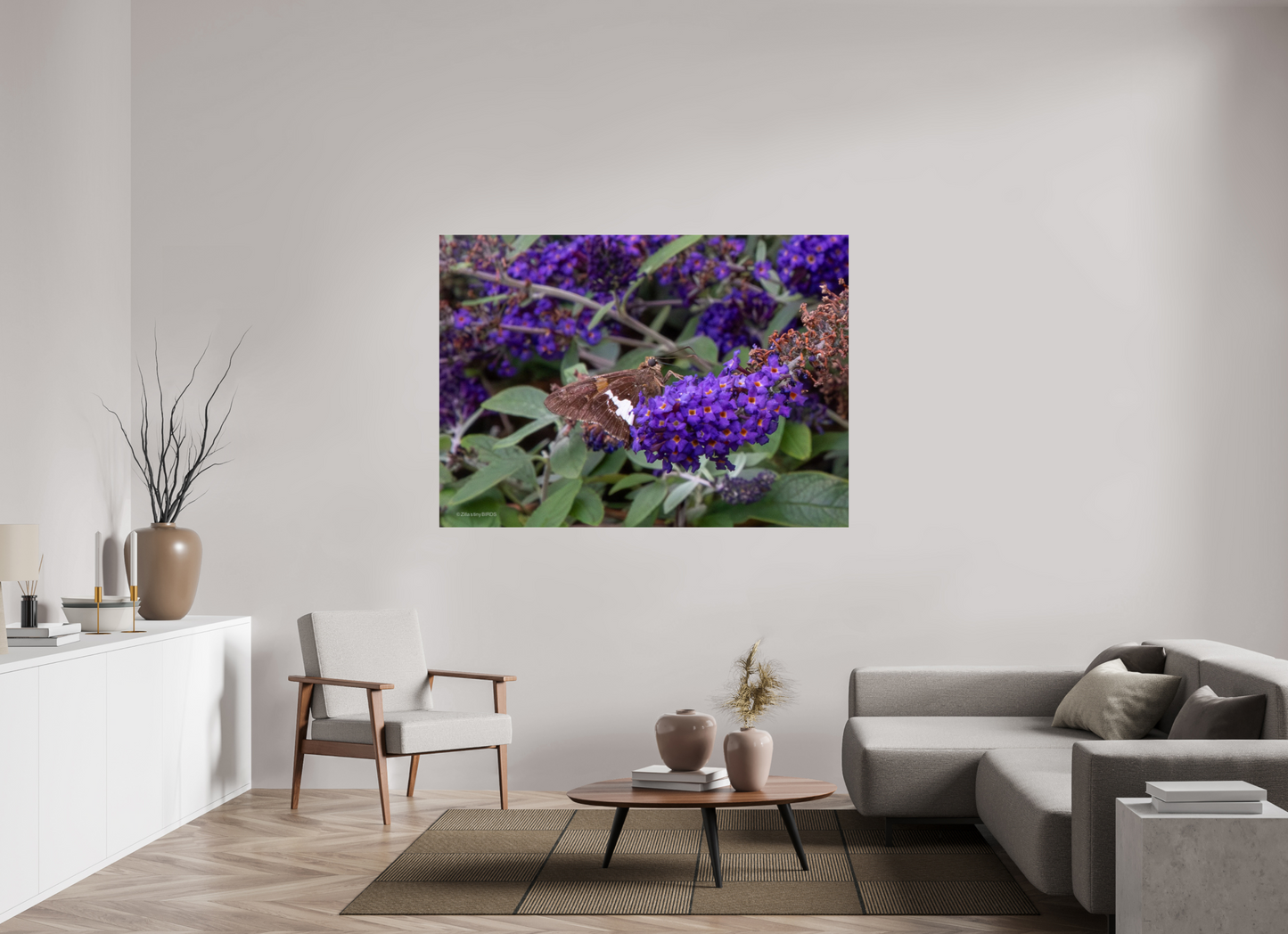 65.8 x 47″, Photo Print Under Acrylic Glass Zillas Zoom Image 60