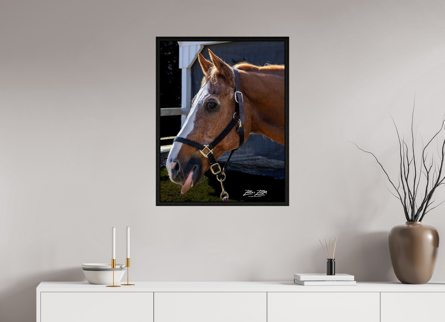 24 x 31.1″, Floater Frame Zillas zoom image 157