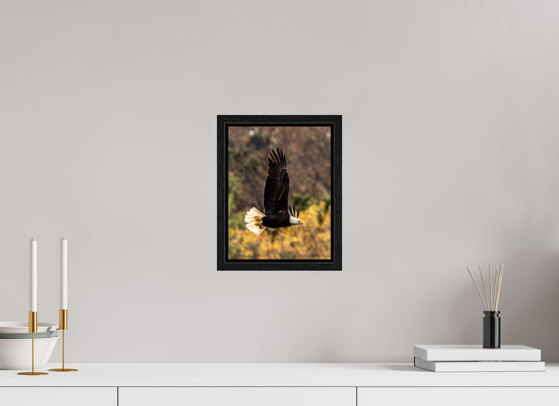 8 x 10.4″, Floater Frame Zillas Zoom Image 524
