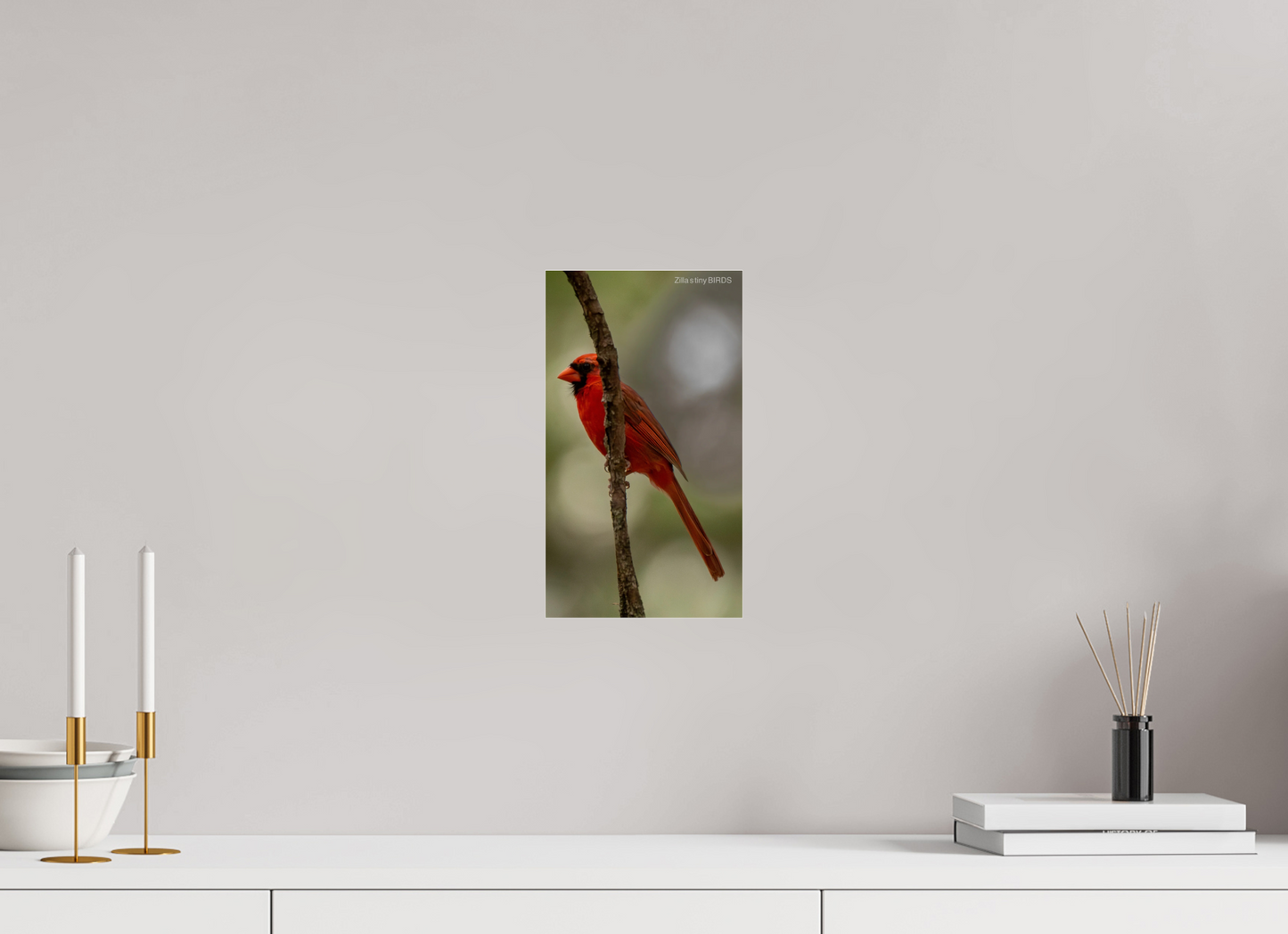 6.8 x 12″, Photo Print Under Acrylic Glass Zillas Zoom Image 486