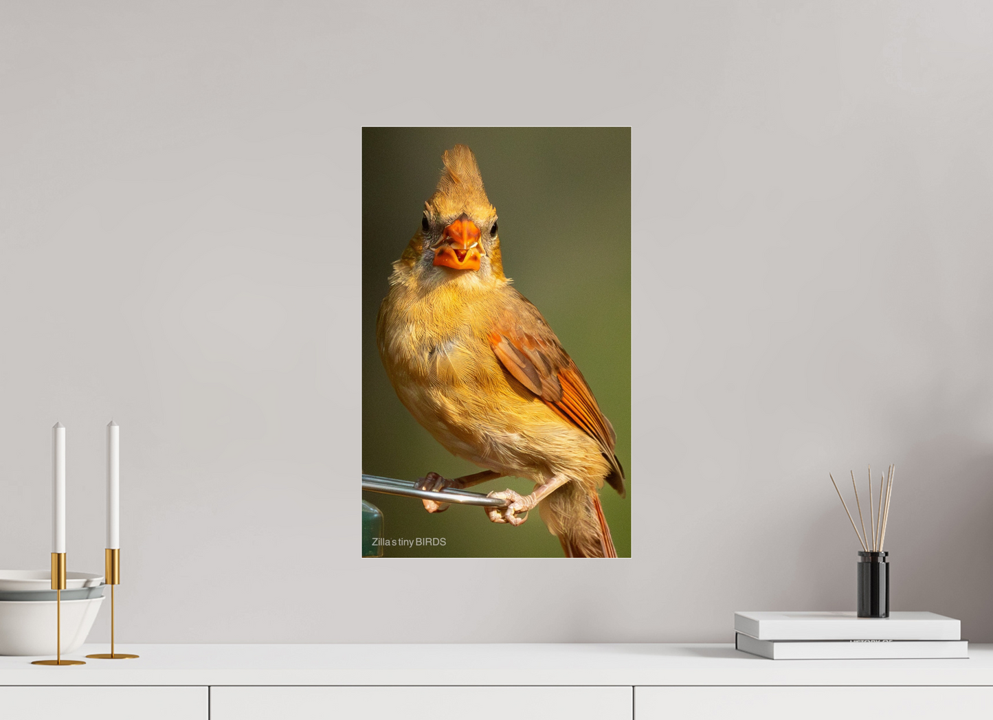 12 x 19.2″, Photo Print Under Acrylic Glass Zillas Zoom Image 509