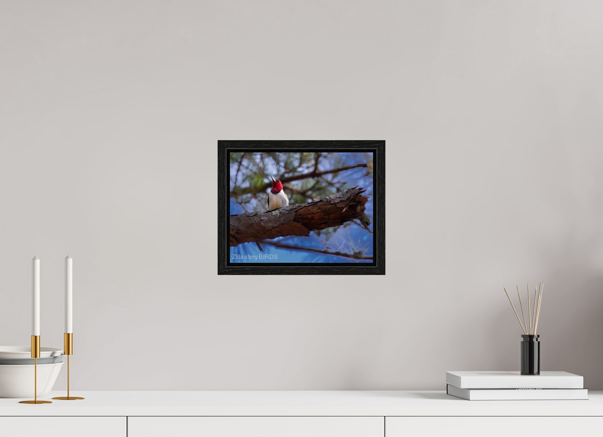 10.4 x 8″, Floater Frame Zillas Zoom Image 375