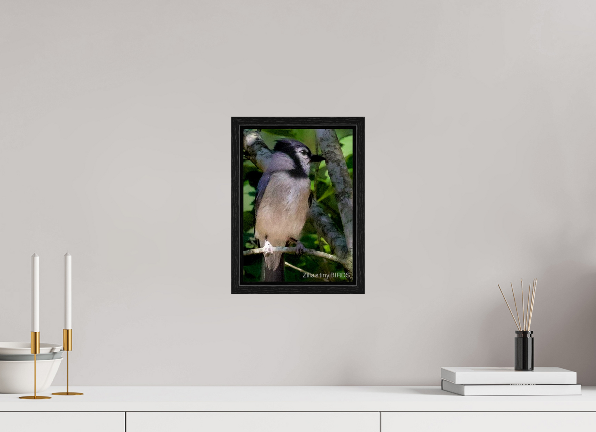 8 x 11.2″, Floater Frame Zillas Zoom Image 470