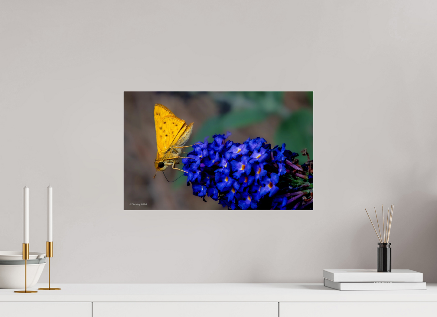 19.2 x 12″, Photo Print Under Acrylic Glass Zillas Zoom Image 61