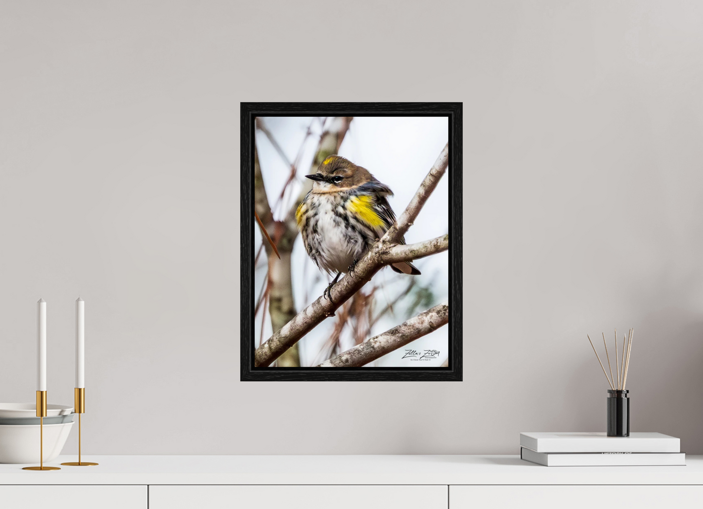 12 x 15.6″, Floater Frame Zillas Zoom Image 501