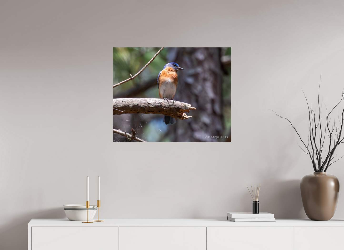 30 x 24″, Photo Print On Fuji Crystal DP II Zillas Zoom Image 368