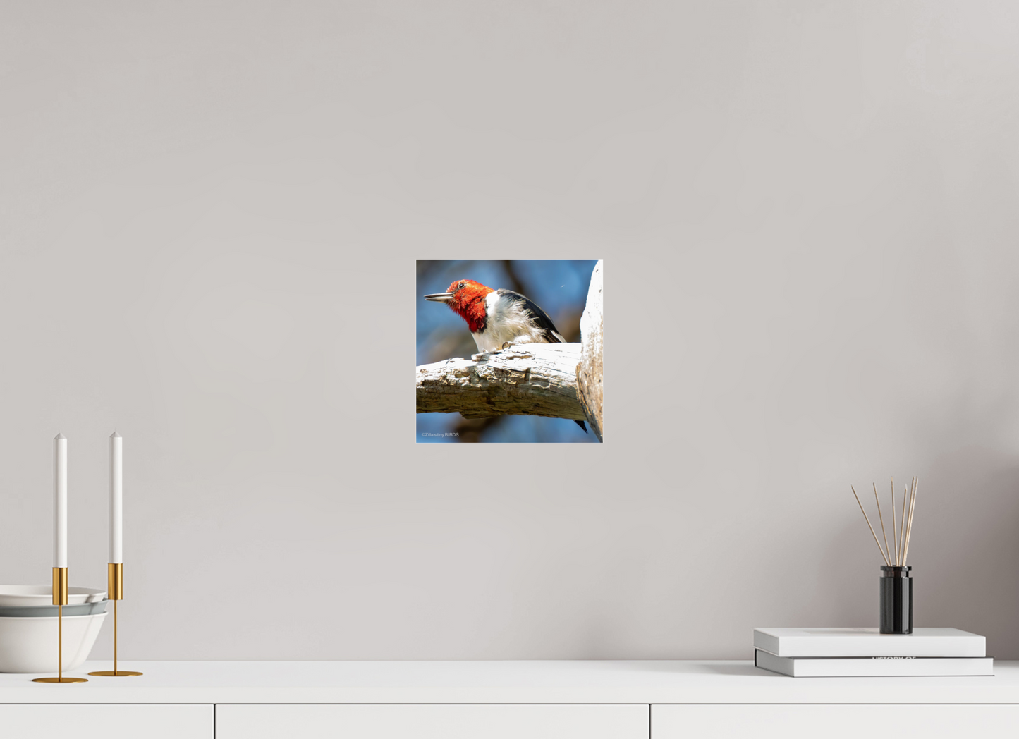 8.1 x 8″, Photo Print Under Acrylic Glass Zillas Zoom Image 273