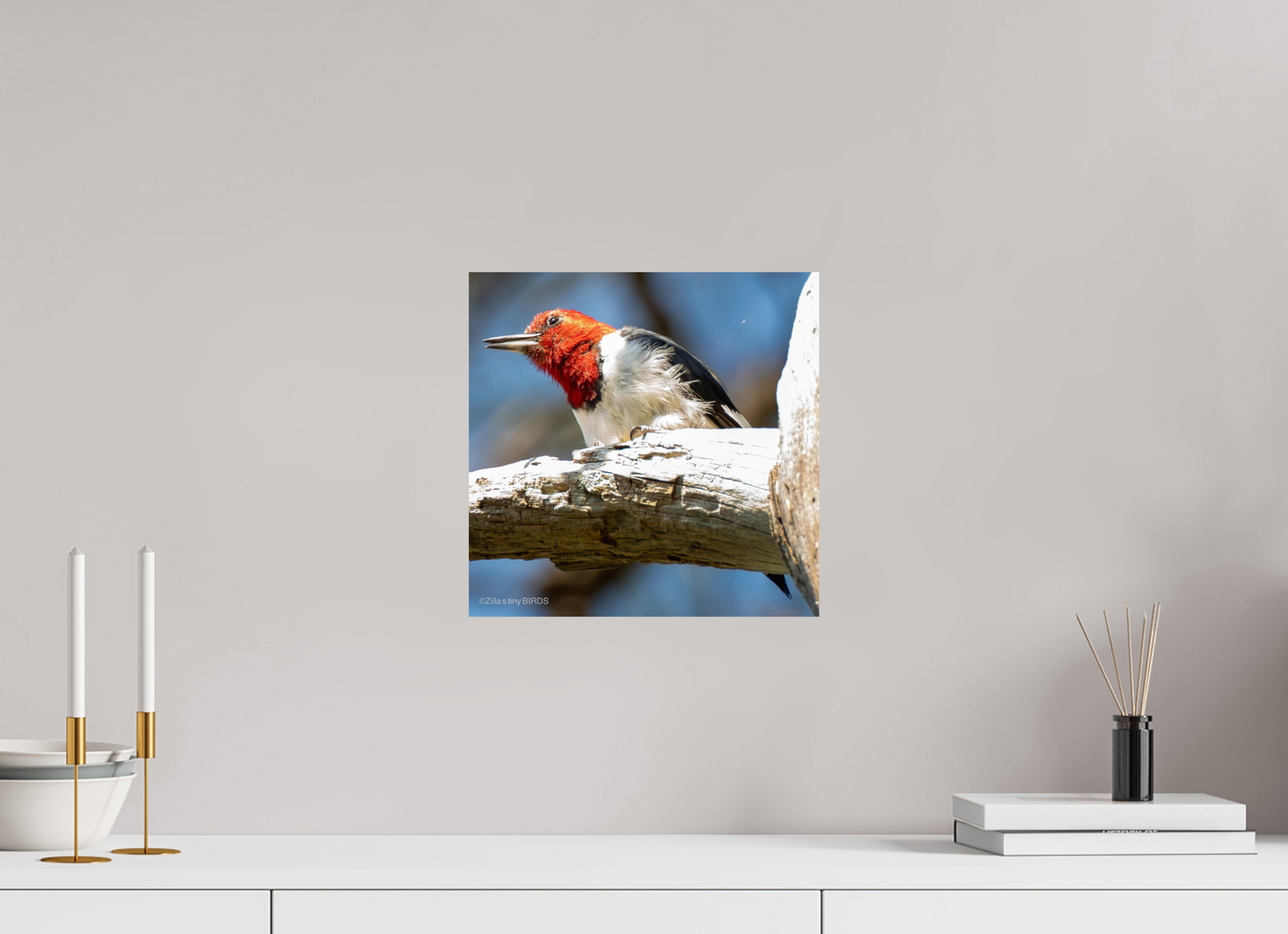 12.2 x 12″, Photo Print On Fuji Crystal DP II Zillas Zoom Image 273