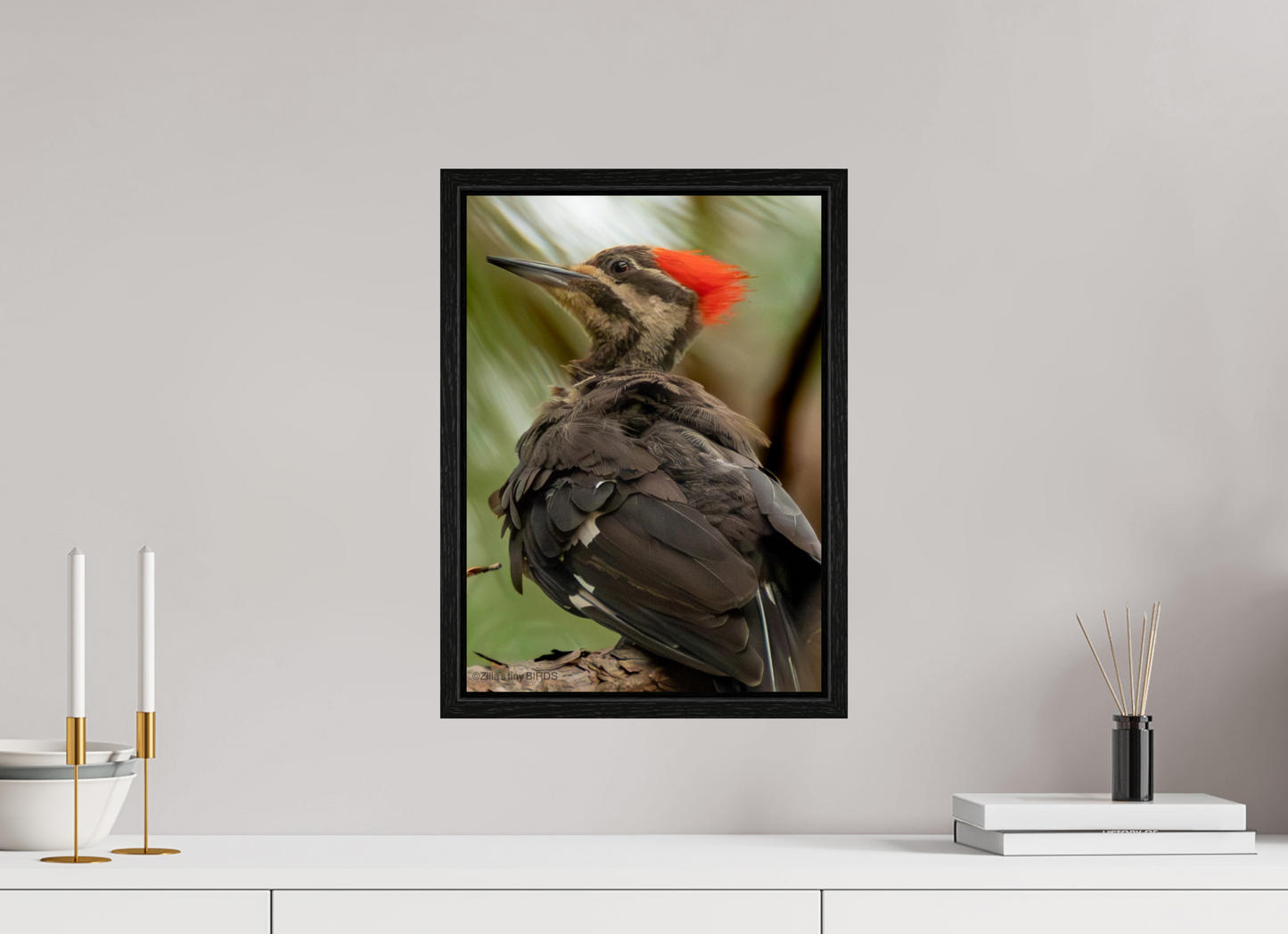 12 x 16.8″, Floater Frame Zillas Zoom Image 443