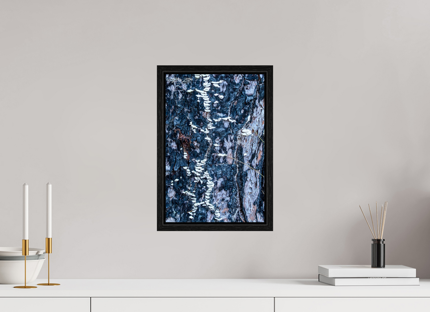 10 x 15″, Floater Frame Zillas Zoom Image 114