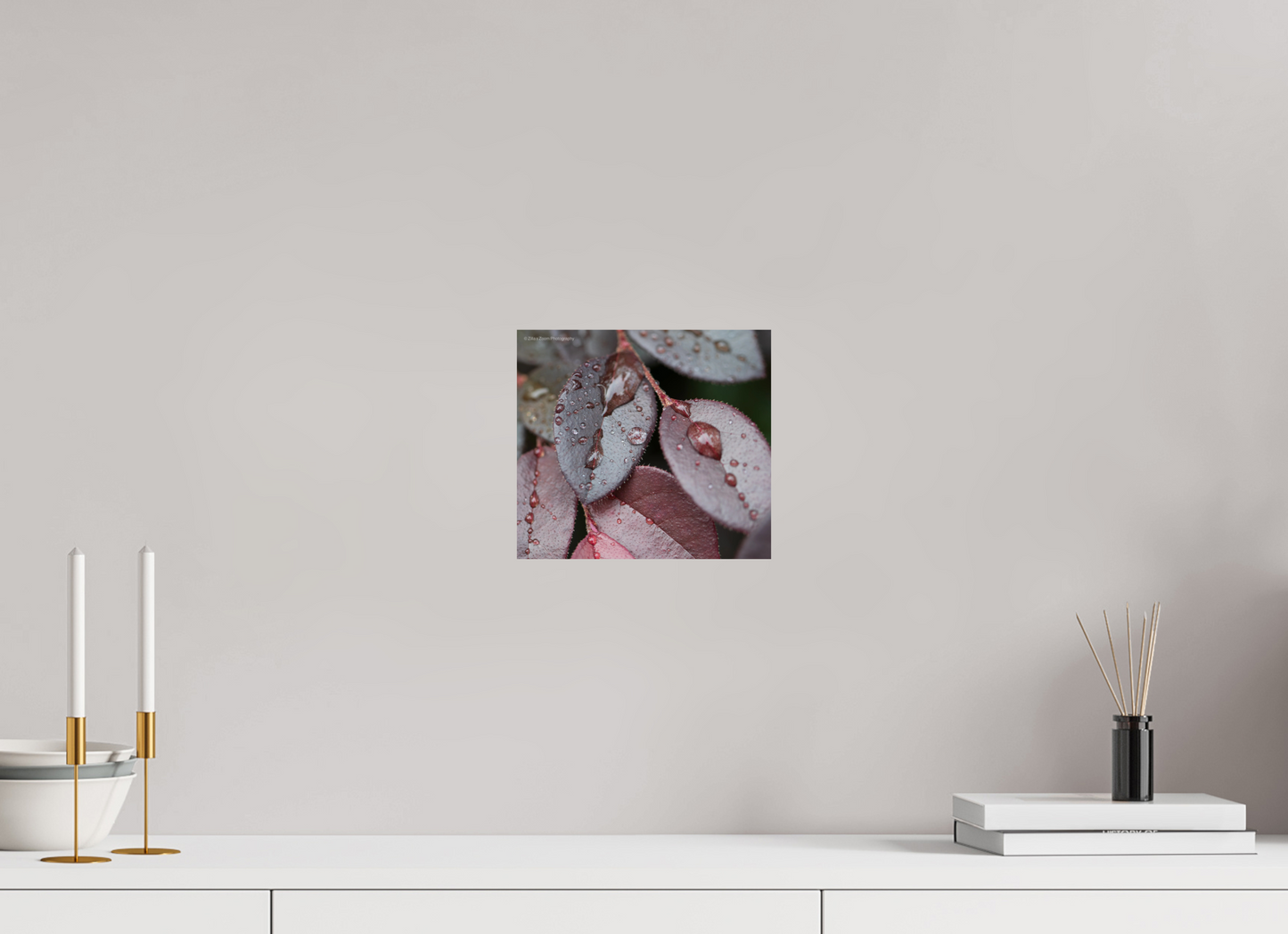 8.9 x 8″, Photo Print On Fuji Crystal DP II Zillas Zoom Image 99