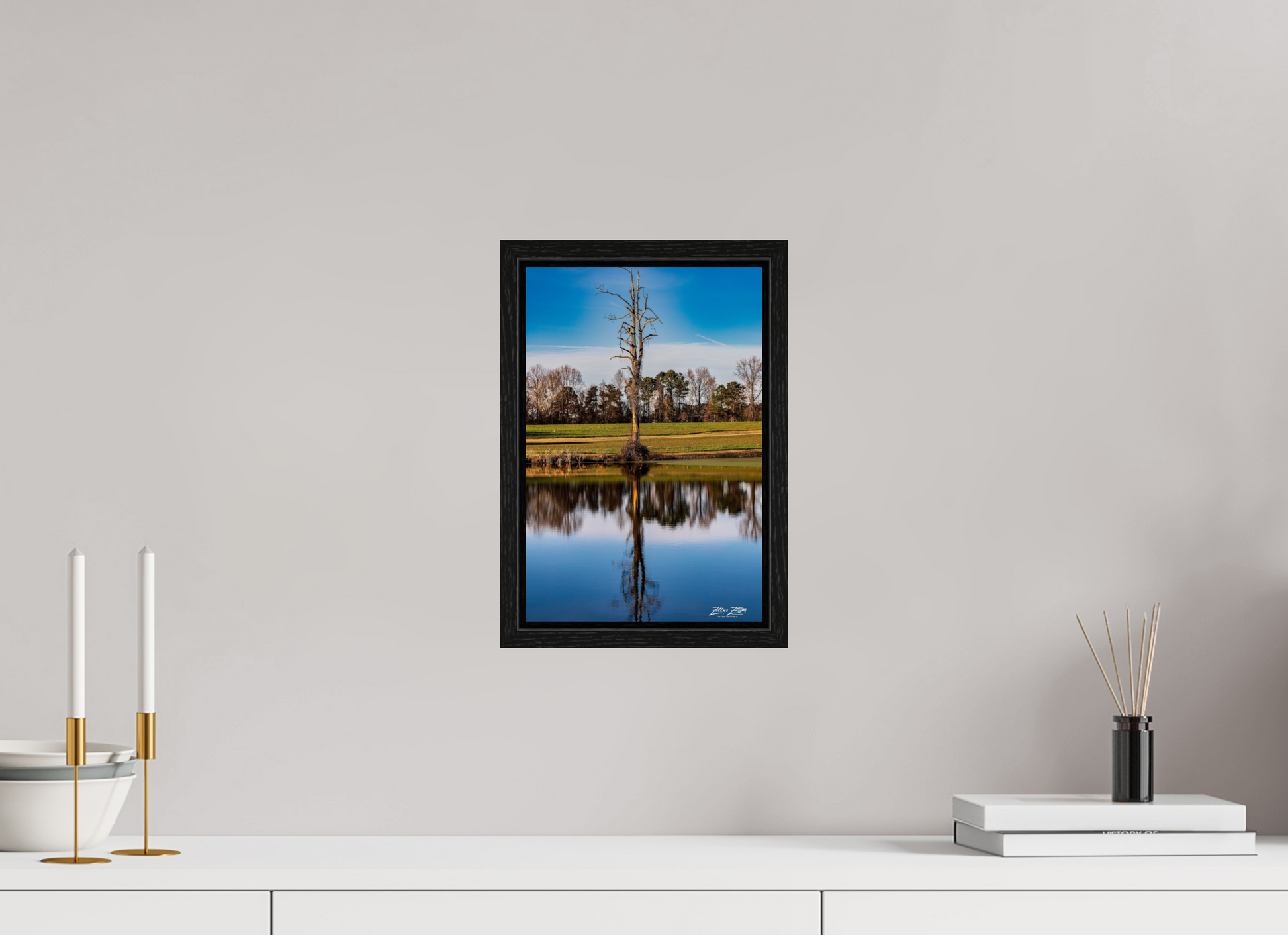 8 x 12″, Floater Frame Zillas Zoom Image 251