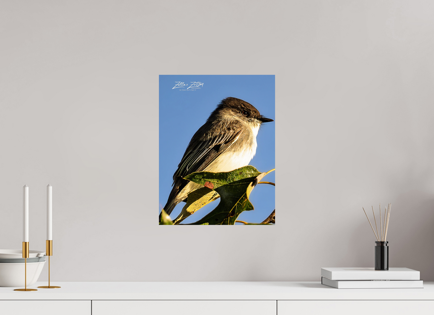12 x 15.5″, Photo Print On Fuji Crystal DP II Zillas Zoom Image 428