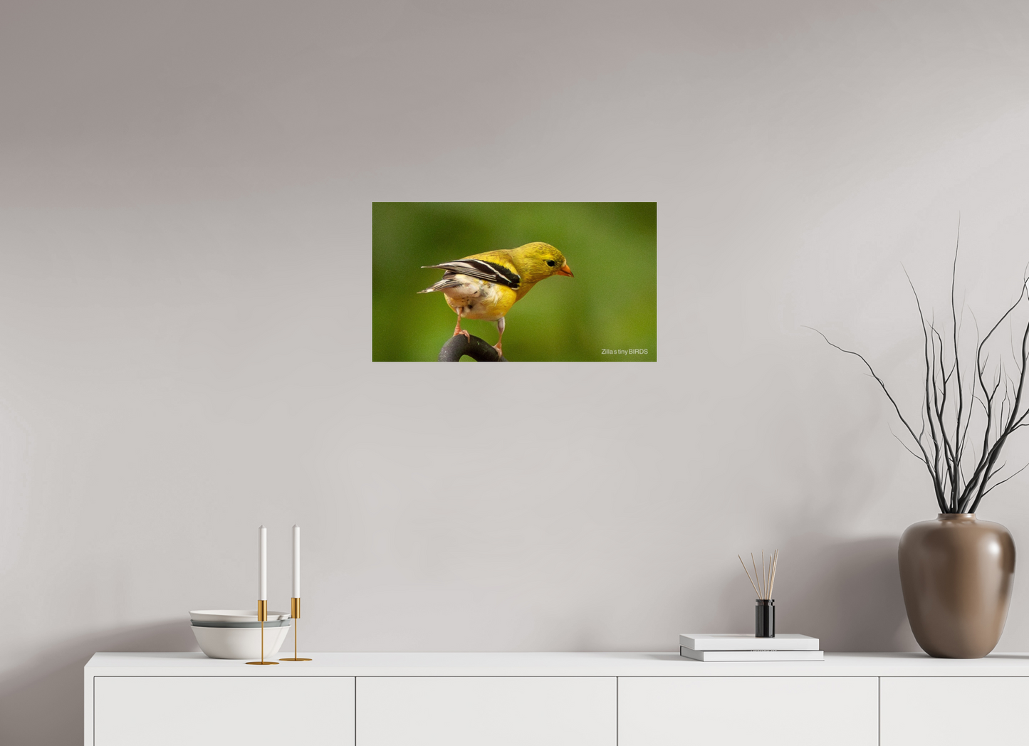 24 x 13.5″, Photo Print Under Acrylic Glass Zillas Zoom Image 380