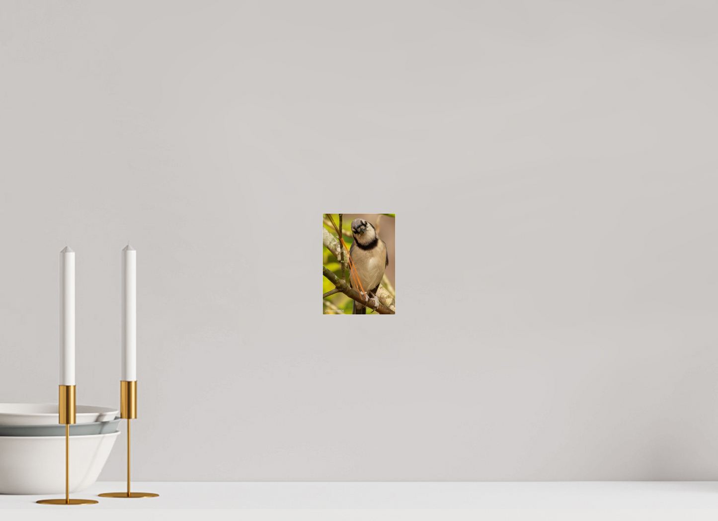 4 x 5.6″, Photo Print Under Acrylic Glass Zillas Zoom Image 505