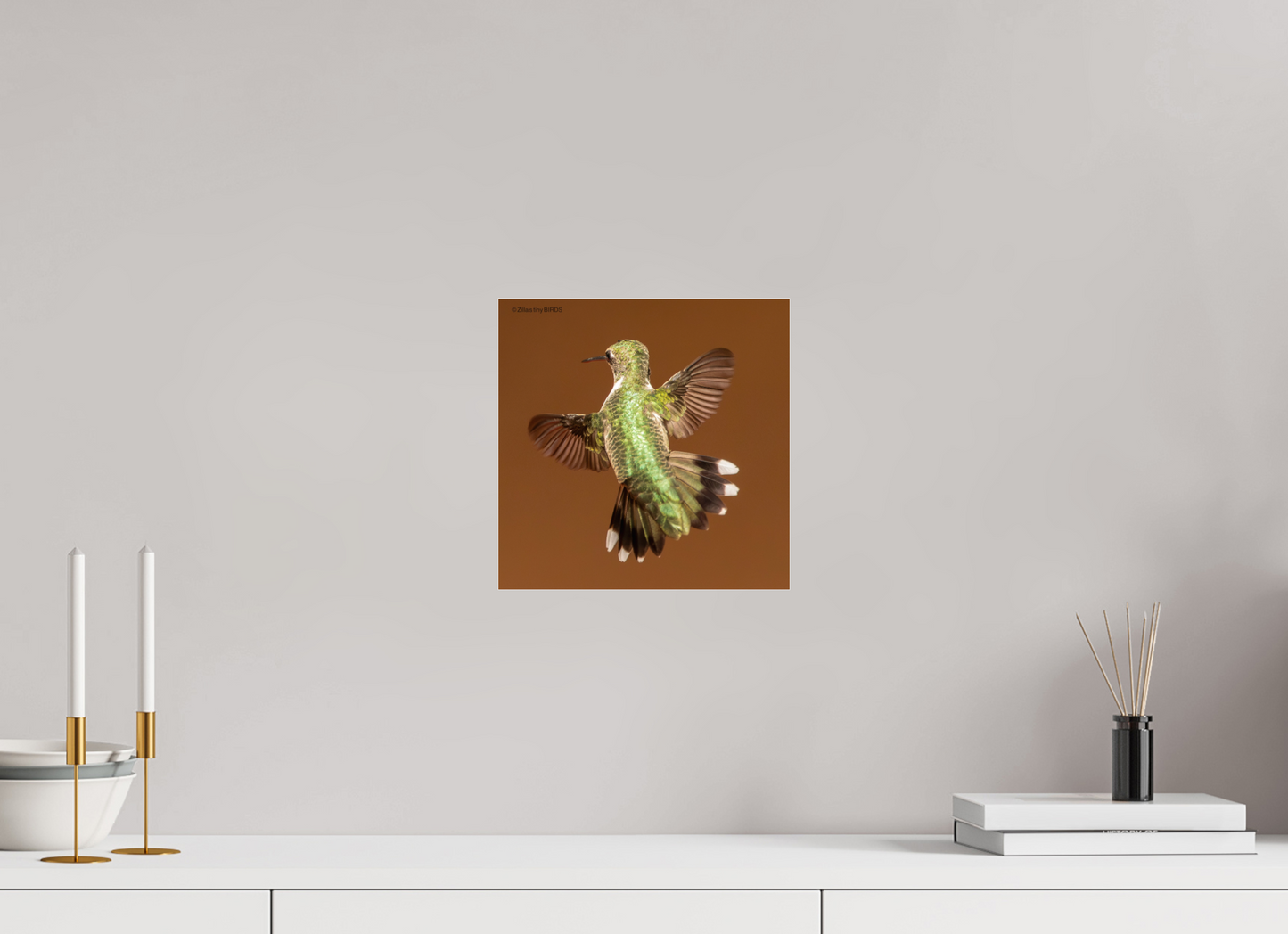 10 x 10″, Photo Print Under Acrylic Glass Zillas Zoom Image 338