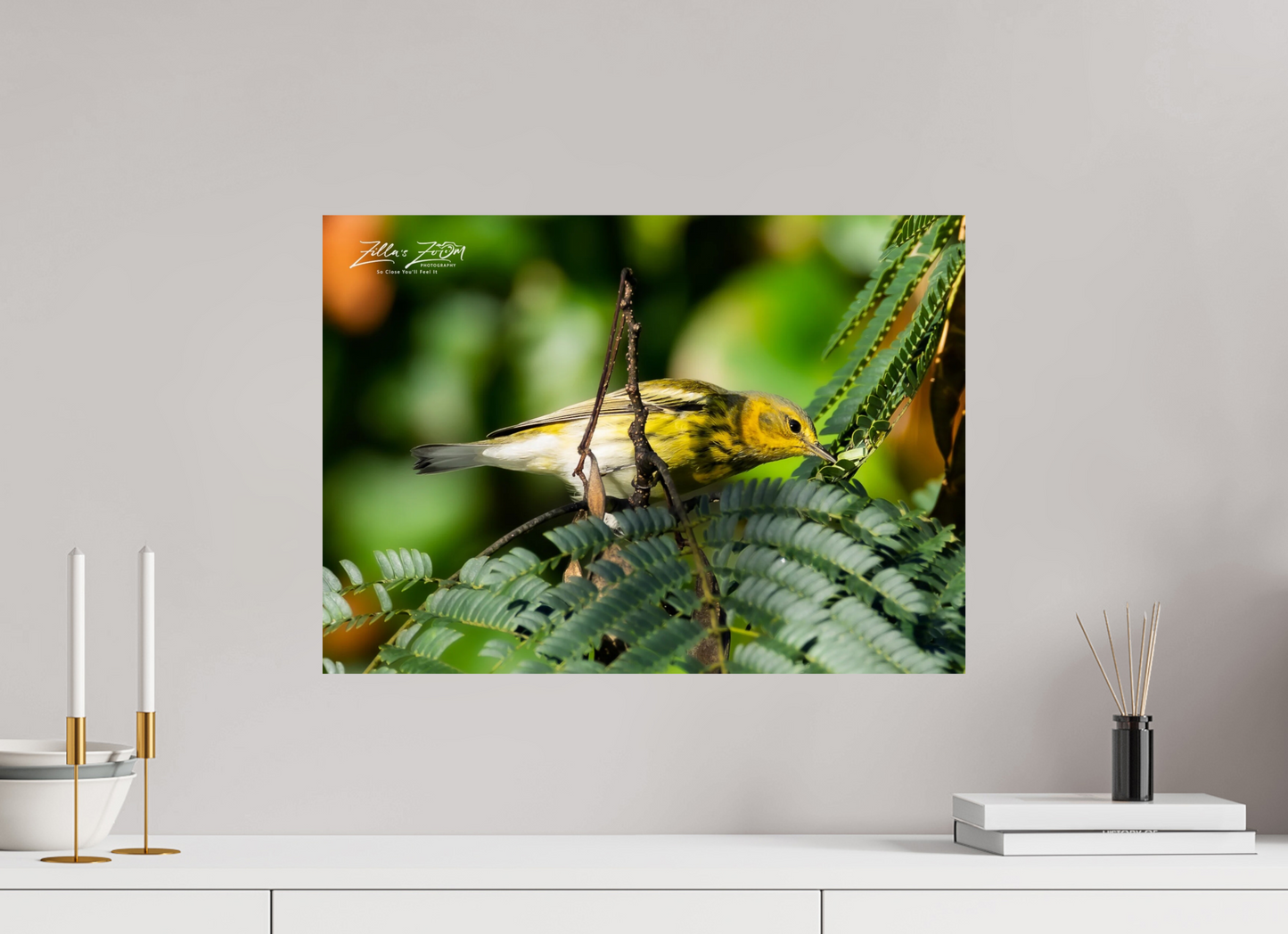 22.4 x 16″, Photo Print On Fuji Crystal DP II Zillas Zoom Image 288