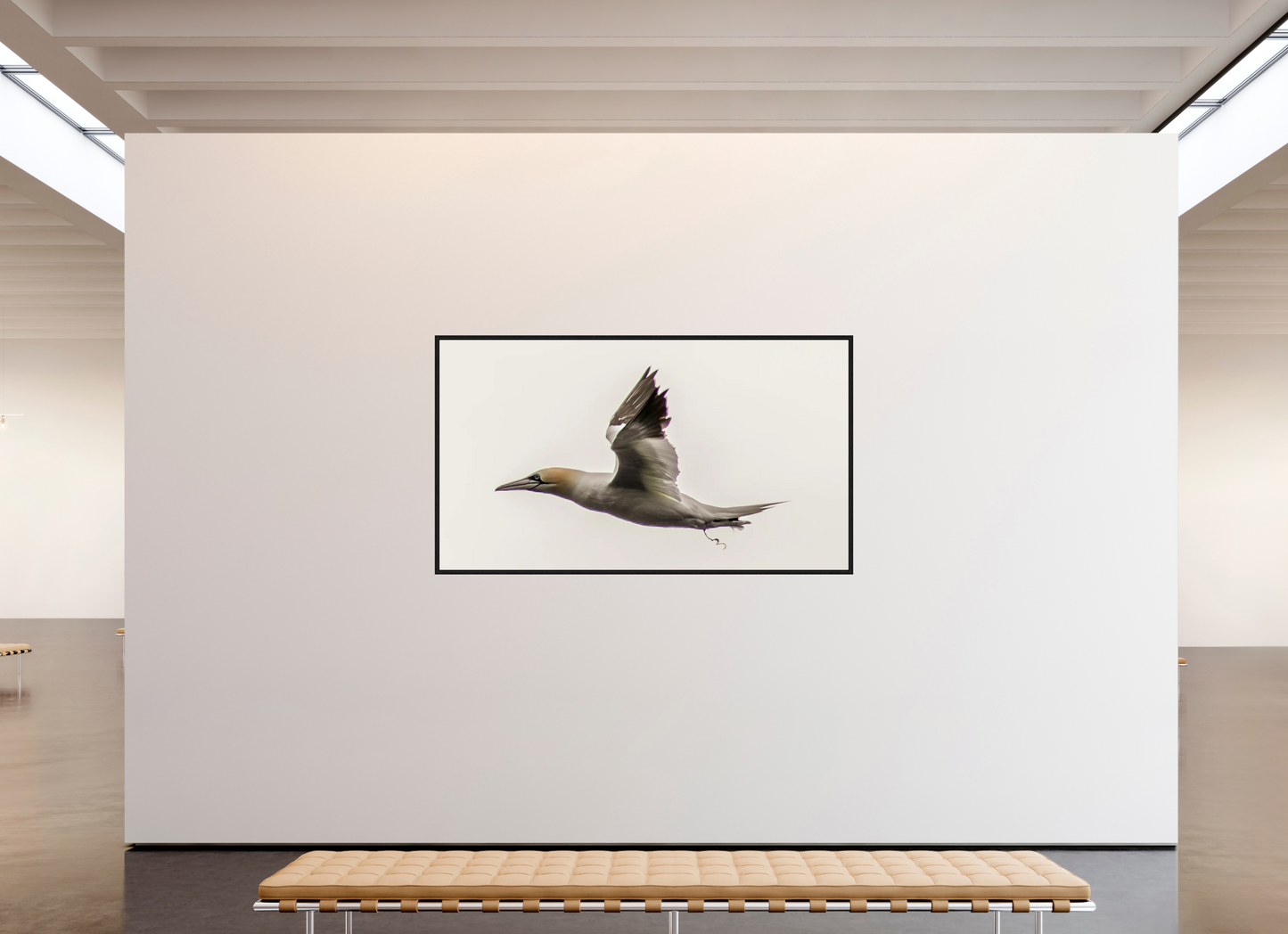 80 x 45″, Floater Frame Zillas Zoom Image 366