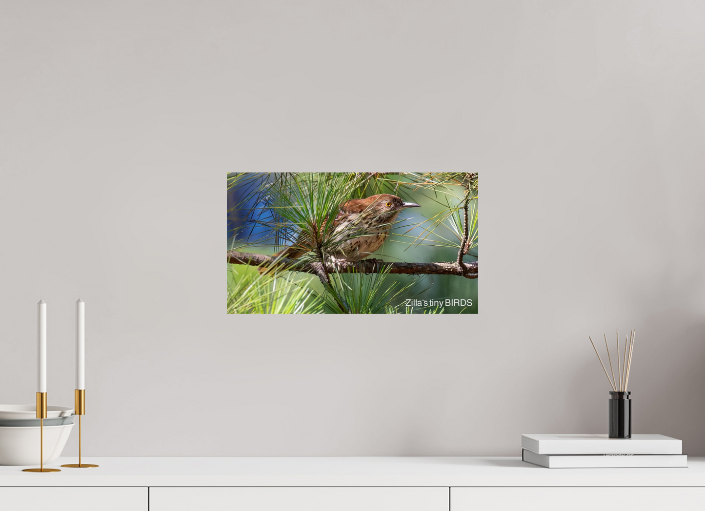 16 x 9″, Photo Print On Fuji Crystal DP II Zillas Zoom Image 379