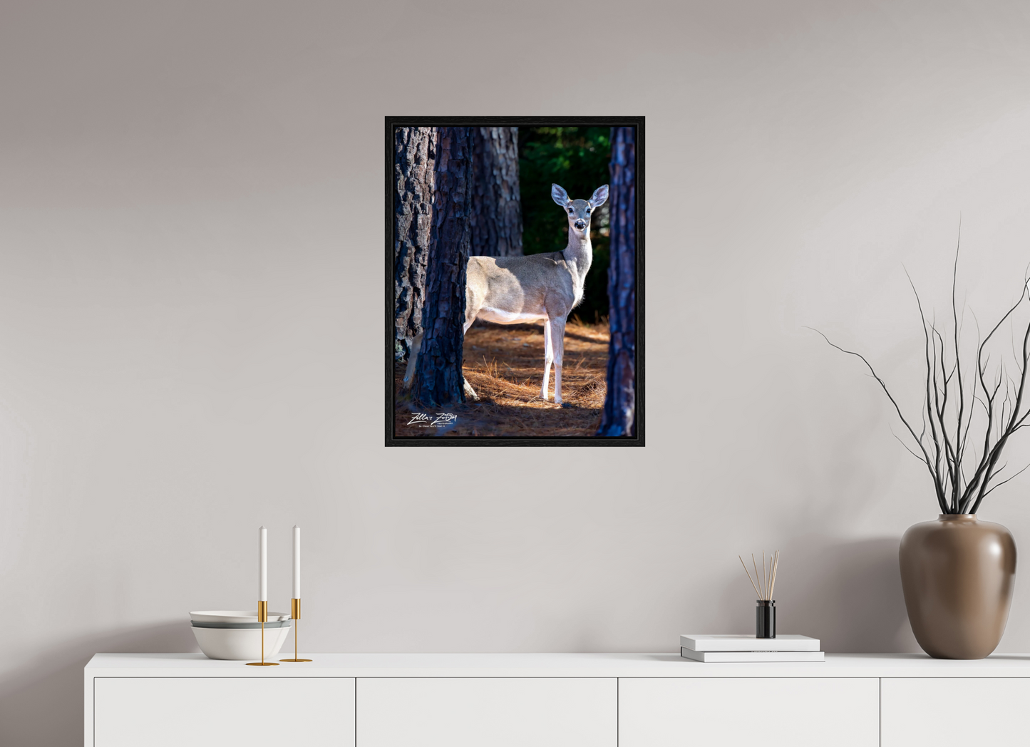 20 x 25.9″, Floater Frame Zillas zoom image 154