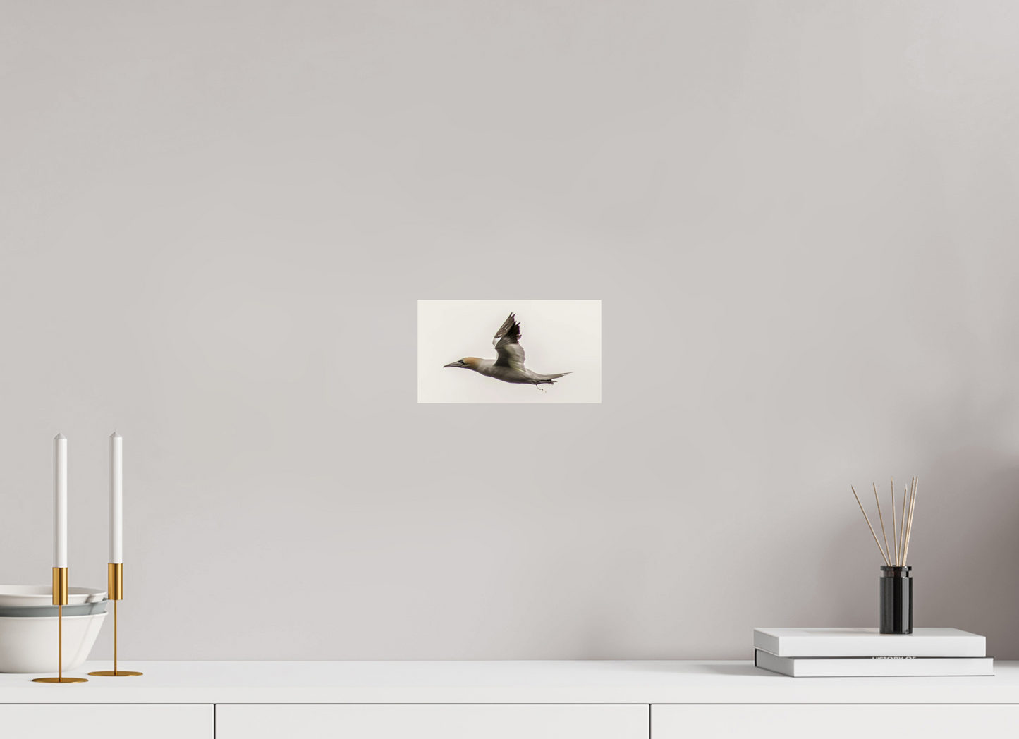 8 x 4.5″, Photo Print Under Acrylic Glass Zillas Zoom Image 366