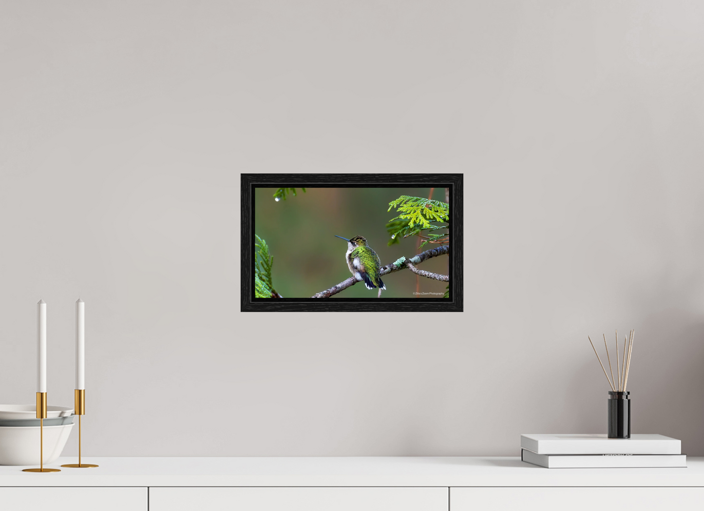 12 x 6.8″, Floater Frame Zillas Zoom Image 309