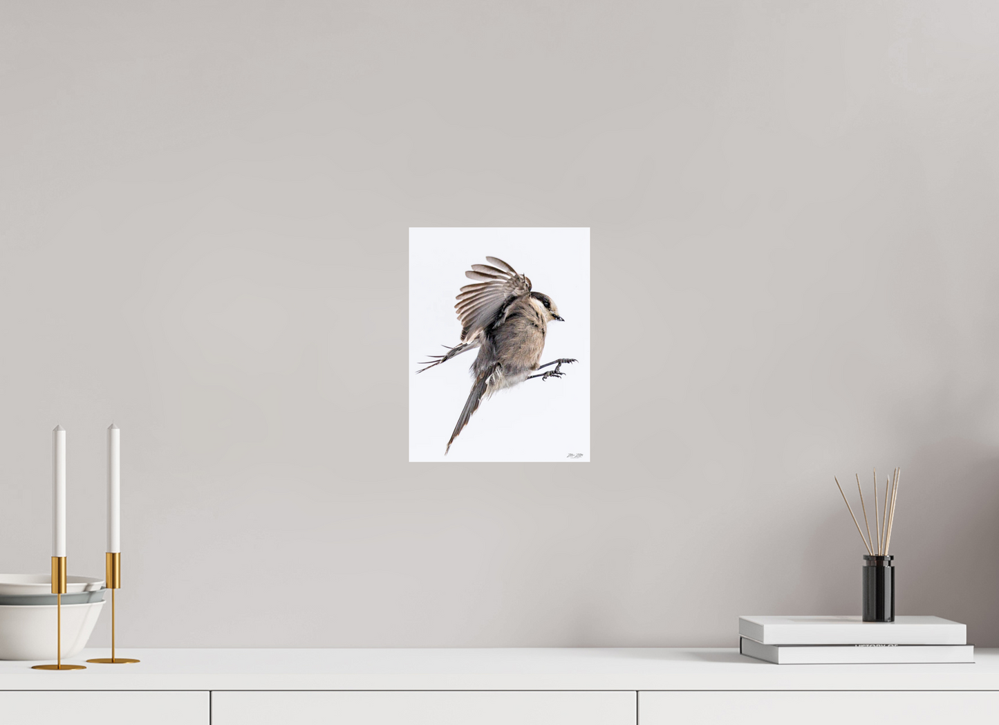 8 x 10.4″, Photo Print Under Acrylic Glass Zillas Zoom Image 525