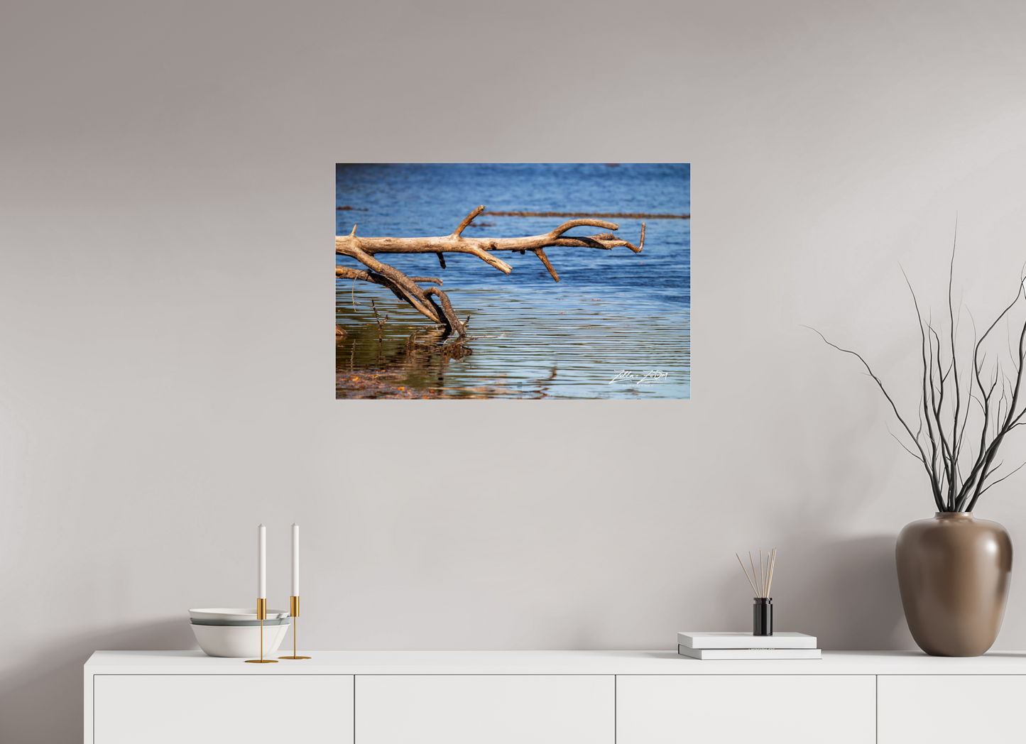 30 x 20″, Photo Print Under Acrylic Glass Zillas Zoom Image 213