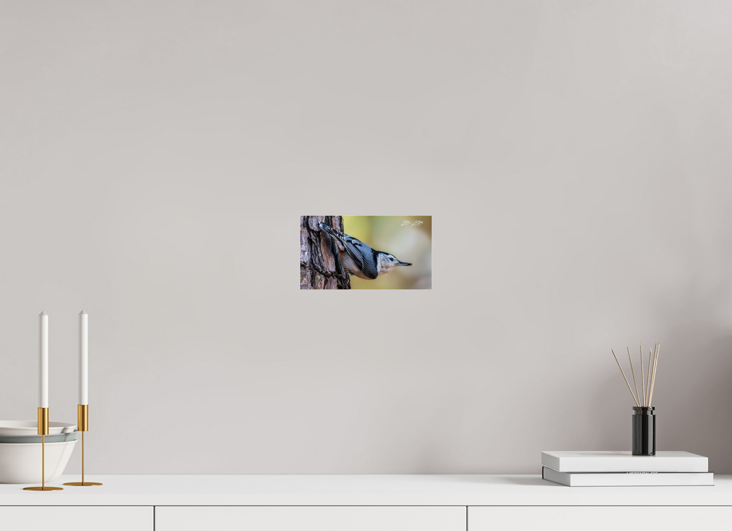 8 x 4.5″, Photo Print Under Acrylic Glass Zillas Zoom Image 326