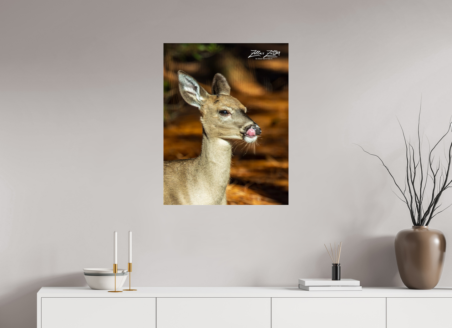 24 x 31.1″, Photo Print Under Acrylic Glass Zillas zoom image 152