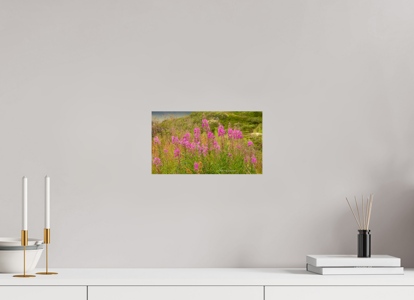 12 x 6.8″, Photo Print On Fuji Crystal DP II Zillas Zoom Image 97