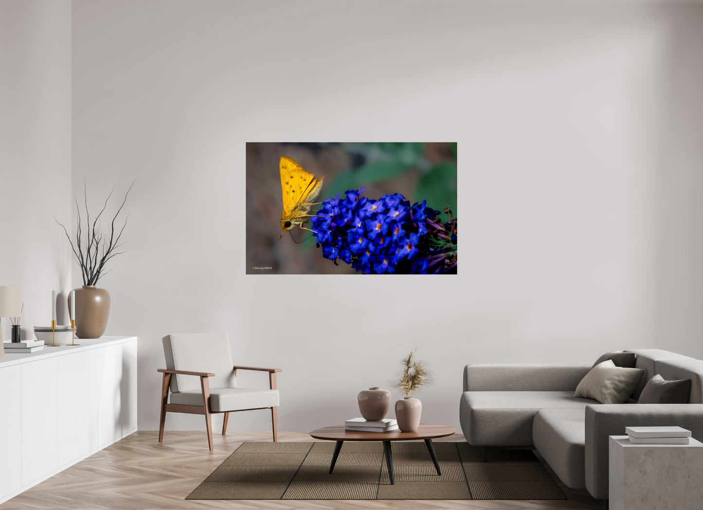 62.4 x 39″, Photo Print On Fuji Crystal DP II Zillas Zoom Image 61