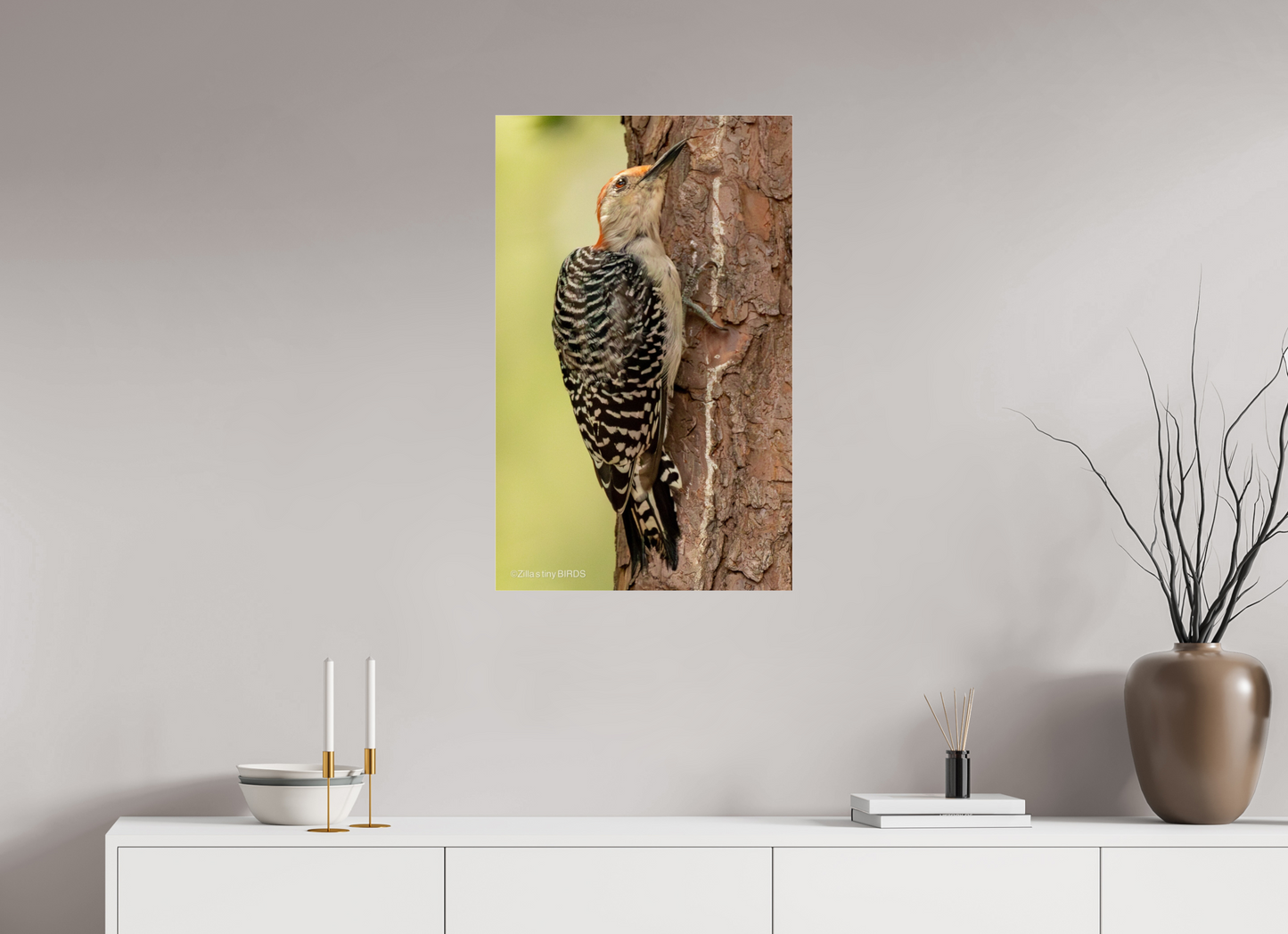 20 x 32″, Photo Print Under Acrylic Glass Zillas Zoom Image 456