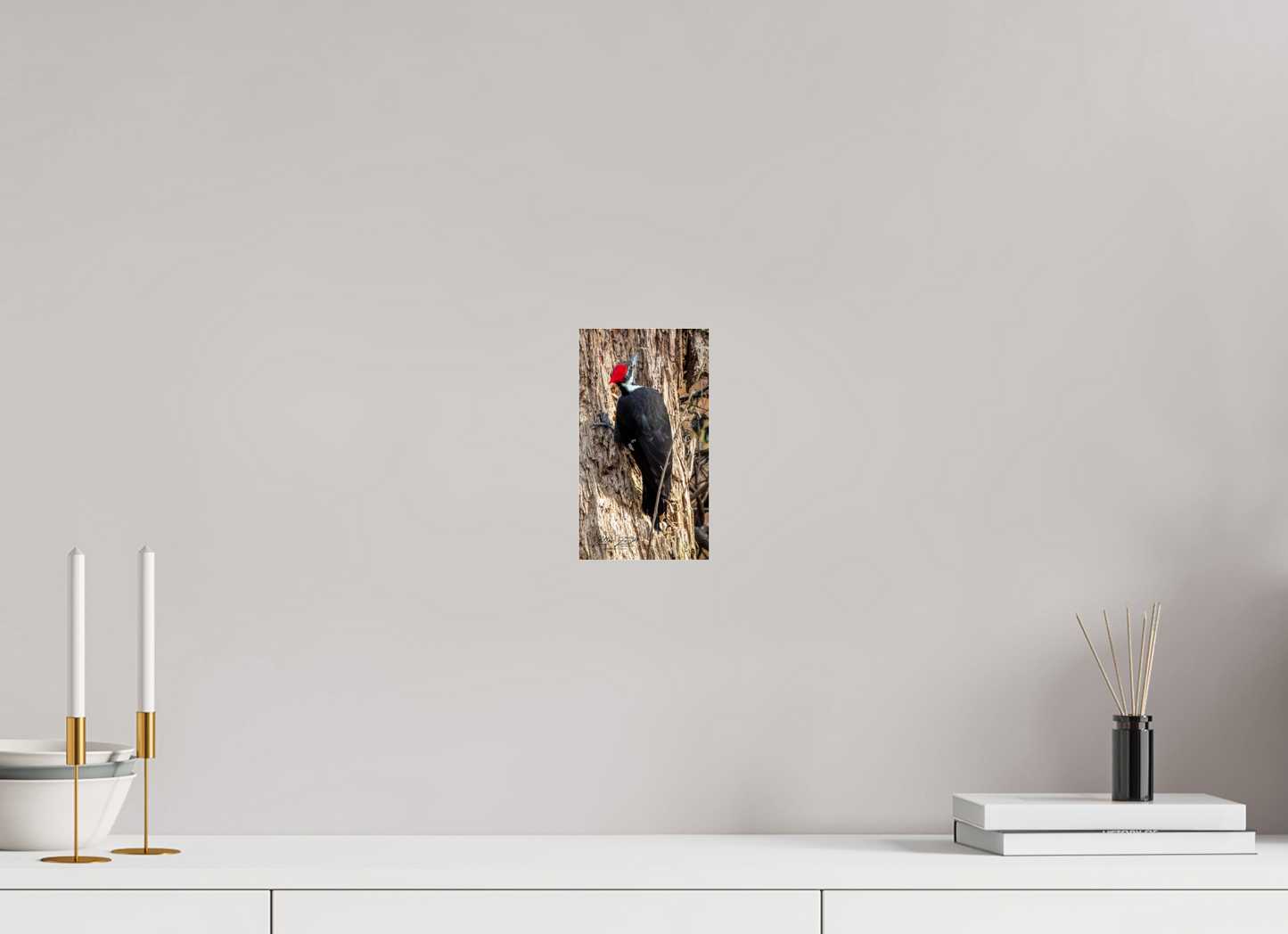4.5 x 8″, Photo Print Under Acrylic Glass Zillas Zoom Image 425