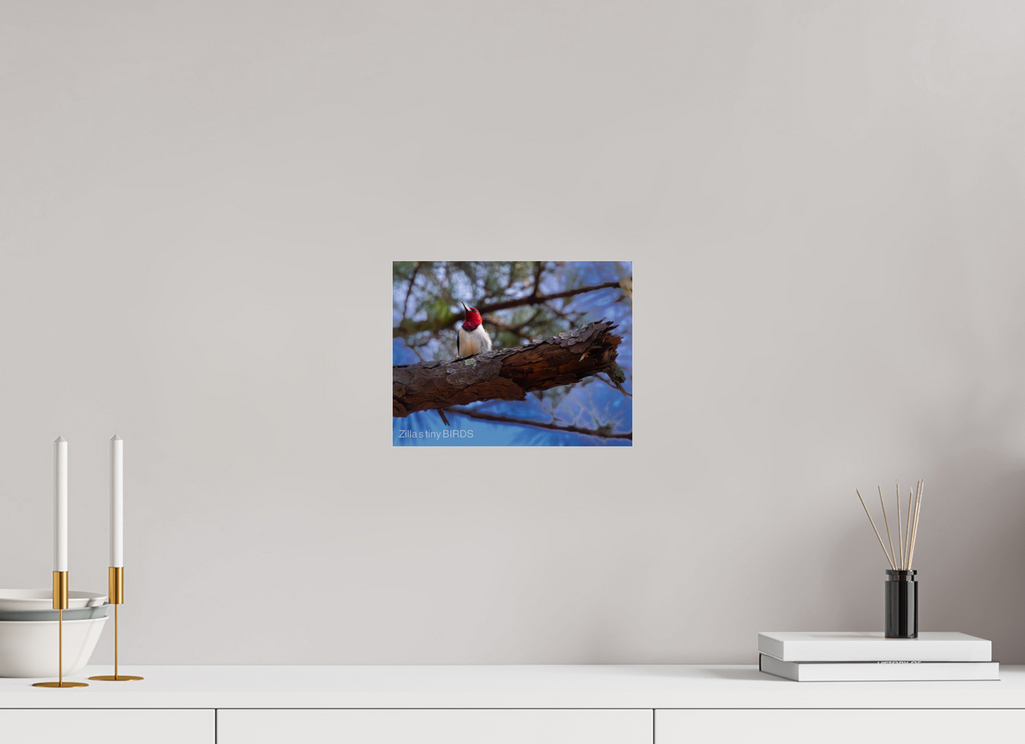 10.4 x 8″, Photo Print Under Acrylic Glass Zillas Zoom Image 375