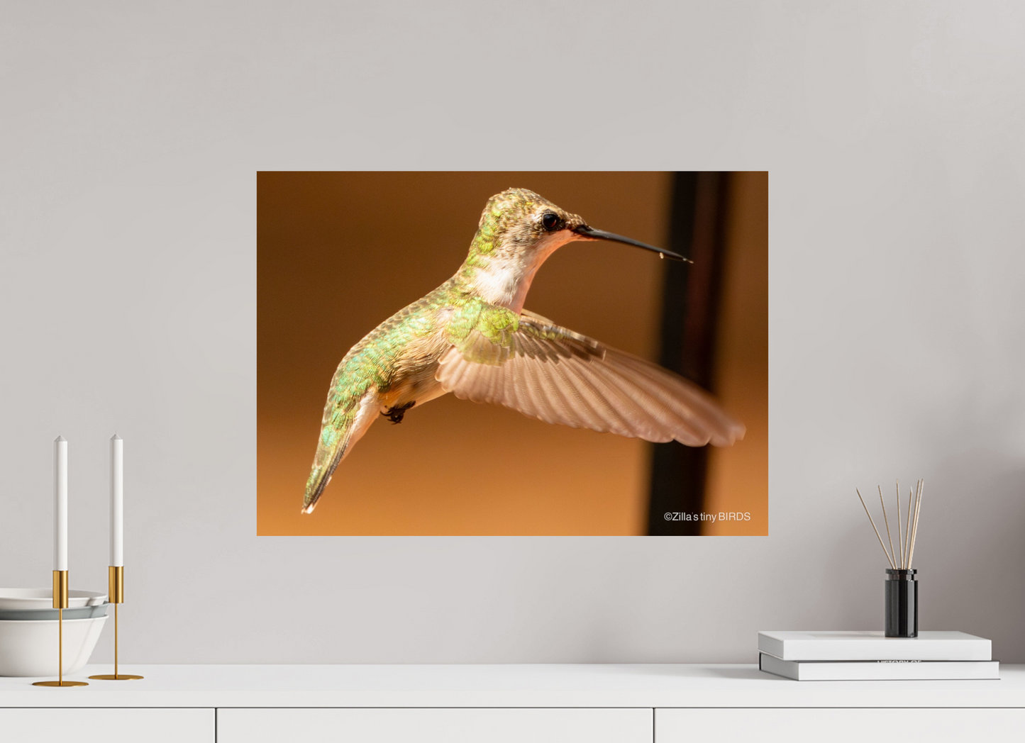 22.4 x 16″, Photo Print On Fuji Crystal DP II Zillas Zoom Image 351